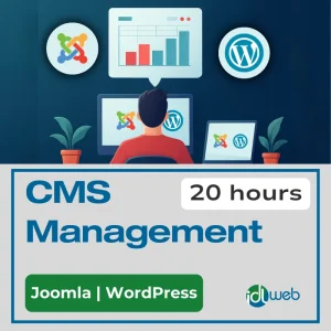 CMS Management (Joomla or WP), 20 Hours Package